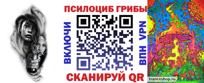 Галлюциногенные грибы Psilocybe  Отрадное 